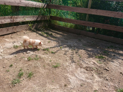 f:id:roukenhome-ann:20190613201416j:plain