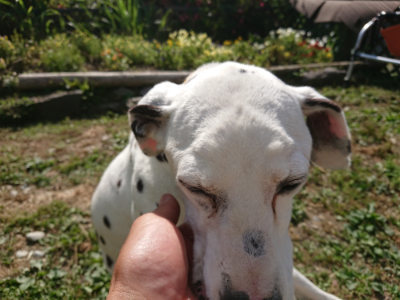 f:id:roukenhome-ann:20190613201424j:plain