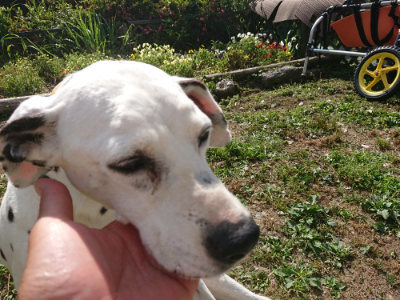 f:id:roukenhome-ann:20190613201429j:plain