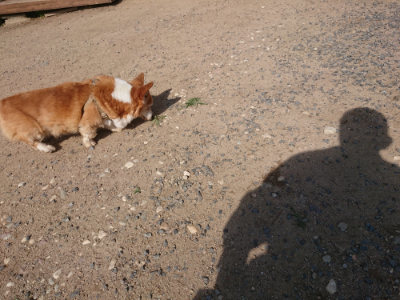 f:id:roukenhome-ann:20190613201440j:plain