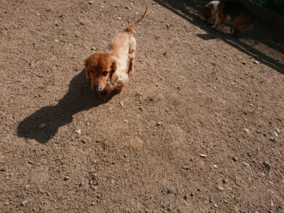 f:id:roukenhome-ann:20190613201446j:plain