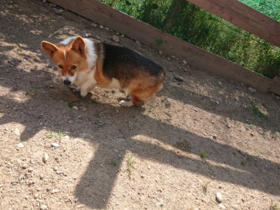 f:id:roukenhome-ann:20190613201456j:plain