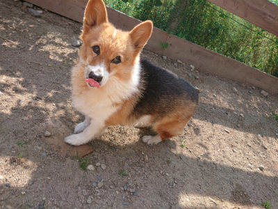 f:id:roukenhome-ann:20190613201502j:plain