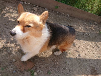 f:id:roukenhome-ann:20190613201513j:plain