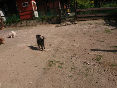 f:id:roukenhome-ann:20190613201522j:plain