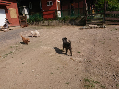 f:id:roukenhome-ann:20190613201527j:plain