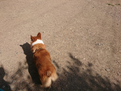 f:id:roukenhome-ann:20190613201531j:plain