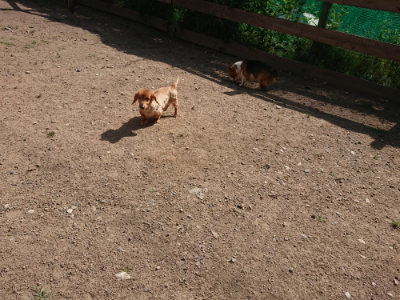 f:id:roukenhome-ann:20190613201535j:plain