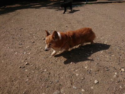 f:id:roukenhome-ann:20190613201540j:plain