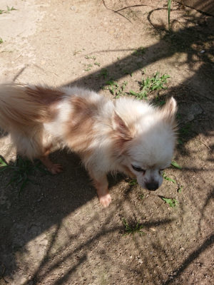 f:id:roukenhome-ann:20190613201546j:plain