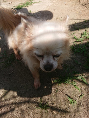 f:id:roukenhome-ann:20190613201550j:plain