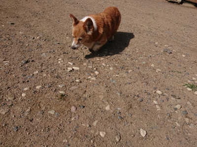 f:id:roukenhome-ann:20190613201556j:plain