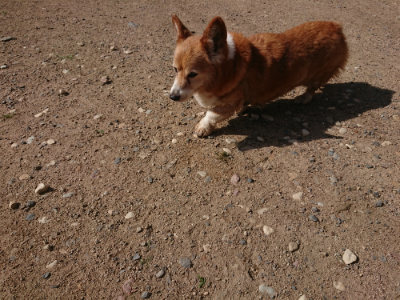 f:id:roukenhome-ann:20190613201601j:plain