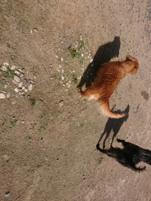 f:id:roukenhome-ann:20190613201607j:plain