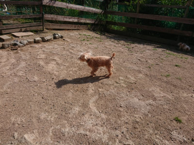 f:id:roukenhome-ann:20190613201613j:plain