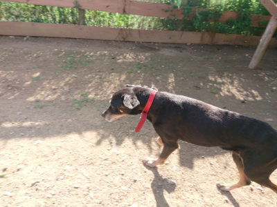 f:id:roukenhome-ann:20190613203205j:plain