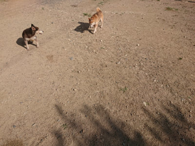 f:id:roukenhome-ann:20190613203212j:plain