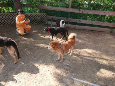 f:id:roukenhome-ann:20190613203217j:plain