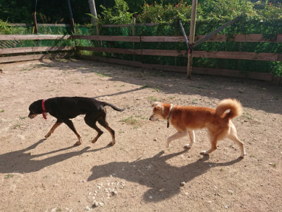 f:id:roukenhome-ann:20190613203315j:plain