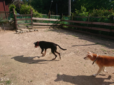 f:id:roukenhome-ann:20190613203319j:plain