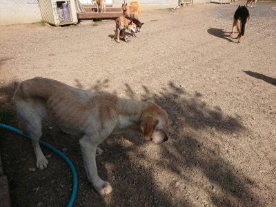 f:id:roukenhome-ann:20190613203330j:plain