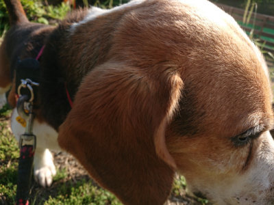 f:id:roukenhome-ann:20190613203349j:plain