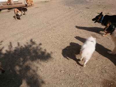 f:id:roukenhome-ann:20190613203401j:plain