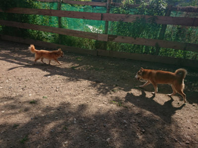 f:id:roukenhome-ann:20190613203428j:plain