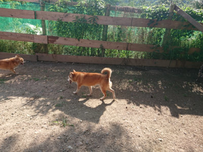 f:id:roukenhome-ann:20190613203434j:plain