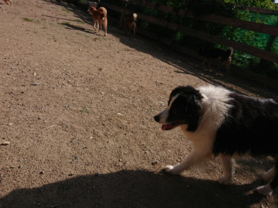 f:id:roukenhome-ann:20190613203455j:plain