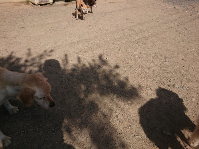 f:id:roukenhome-ann:20190613203502j:plain