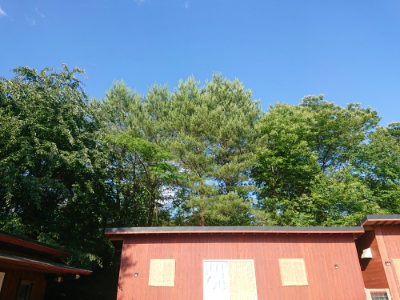 f:id:roukenhome-ann:20190613203521j:plain