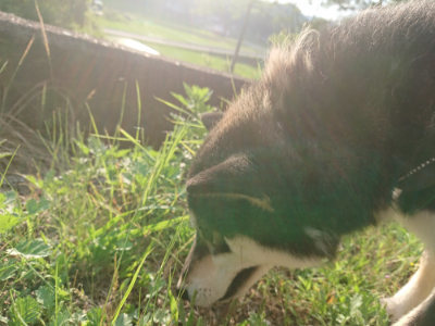 f:id:roukenhome-ann:20190613203554j:plain