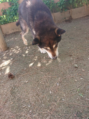 f:id:roukenhome-ann:20190613203605j:plain