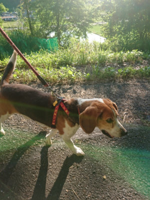 f:id:roukenhome-ann:20190613203707j:plain