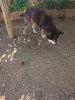 f:id:roukenhome-ann:20190613203724j:plain