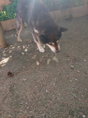 f:id:roukenhome-ann:20190613203731j:plain