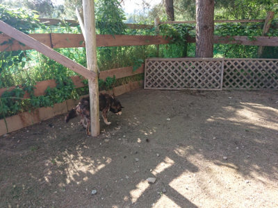 f:id:roukenhome-ann:20190613203756j:plain