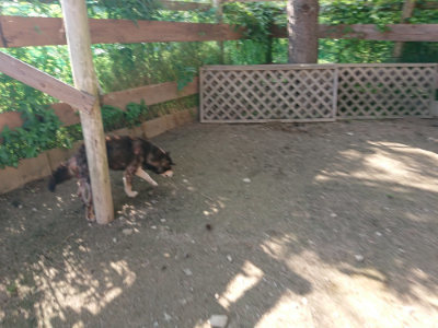 f:id:roukenhome-ann:20190613203801j:plain