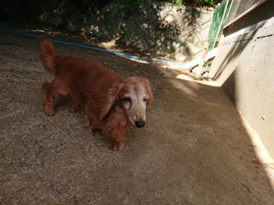 f:id:roukenhome-ann:20190613203824j:plain