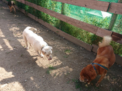 f:id:roukenhome-ann:20190613203858j:plain