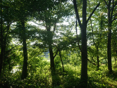 f:id:roukenhome-ann:20190613203905j:plain