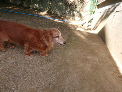 f:id:roukenhome-ann:20190613203915j:plain