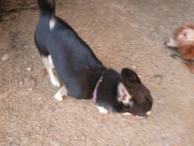 f:id:roukenhome-ann:20190613203920j:plain