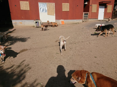 f:id:roukenhome-ann:20190613203936j:plain