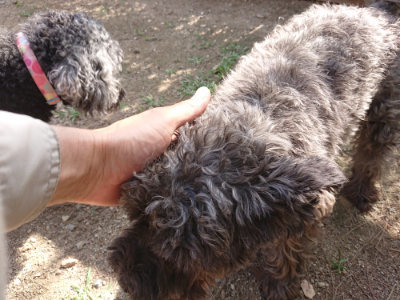 f:id:roukenhome-ann:20190613204026j:plain