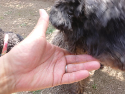 f:id:roukenhome-ann:20190613204032j:plain