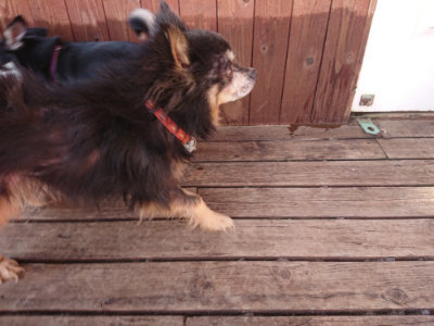 f:id:roukenhome-ann:20190613204038j:plain