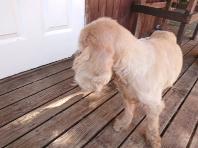 f:id:roukenhome-ann:20190613204043j:plain