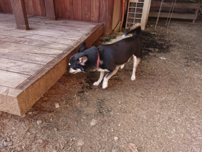 f:id:roukenhome-ann:20190613204049j:plain